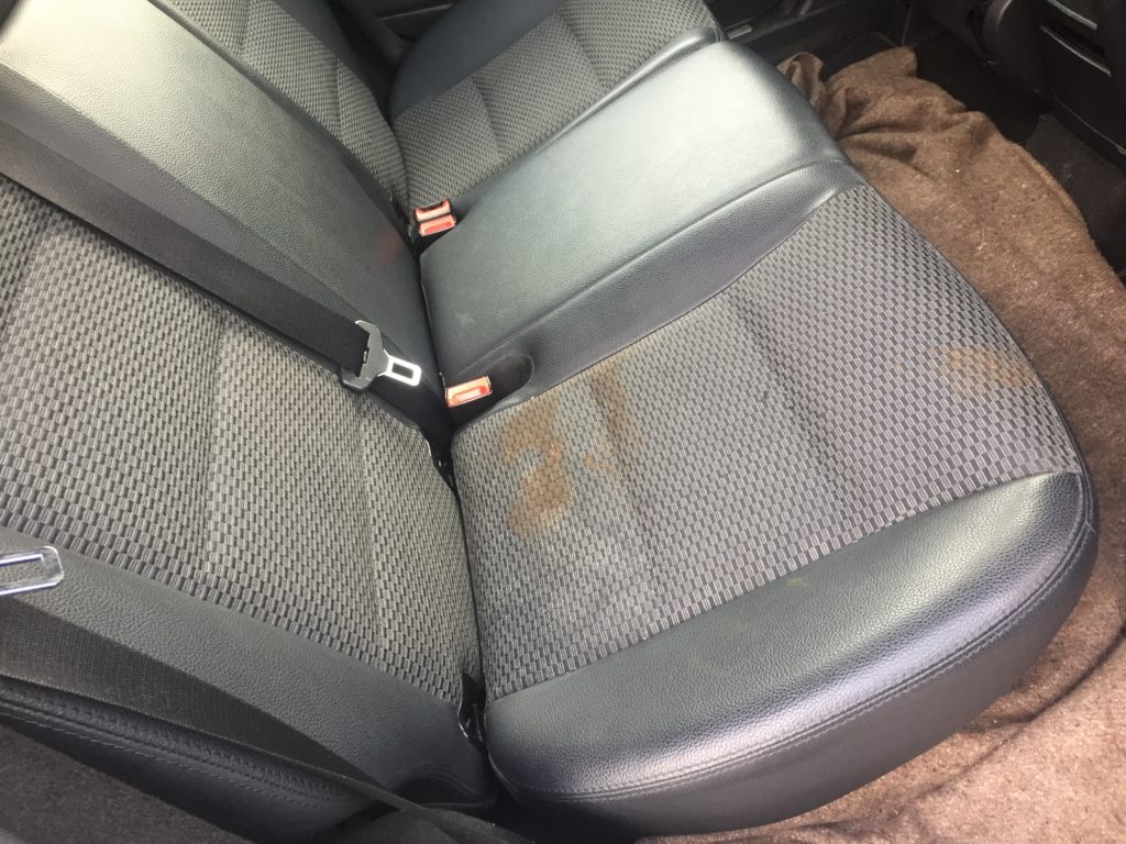 faeces in car seat causing bad odour in car